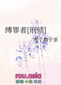 缚罪者txt